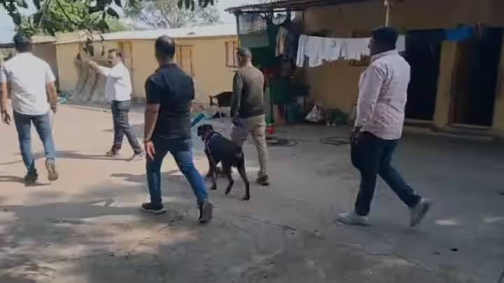 आरोपी दत्तात्रय गाडे याच्या शोधासाठी श्वान पथकाचीही मदत घेतली जात आहे. हे श्वान पथक ऊसाच्या शेतात जाऊन आरोपीला शोधणार आहे.