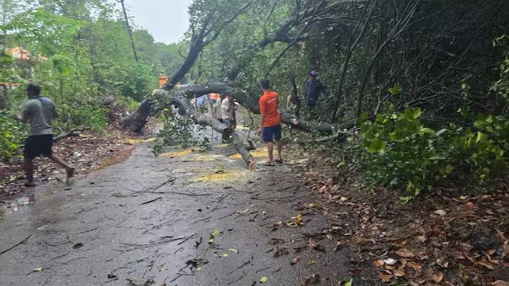राज्यात मुसळधार पावसाचा कहर: पुण्यात रिक्षावर झाड कोसळून महिलेचा मृत्यू; कोकणात वाहतुकीवर परिणाम, घरांचेही मोठे नुकसान - Maharashtra News राज्यात मुसळधार पावसाचा कहर: पुण्यात रिक्षावर झाड कोसळून महिलेचा मृत्यू; कोकणात वाहतुकीवर परिणाम, घरांचेही मोठे नुकसान - Maharashtra News