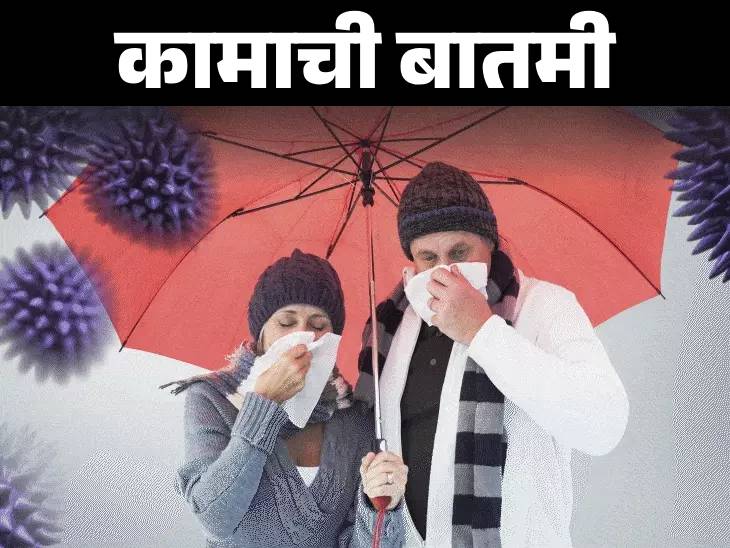 Monsoon Diseases; 11 Common Illnesses and Prevention Tips for Health Safety
