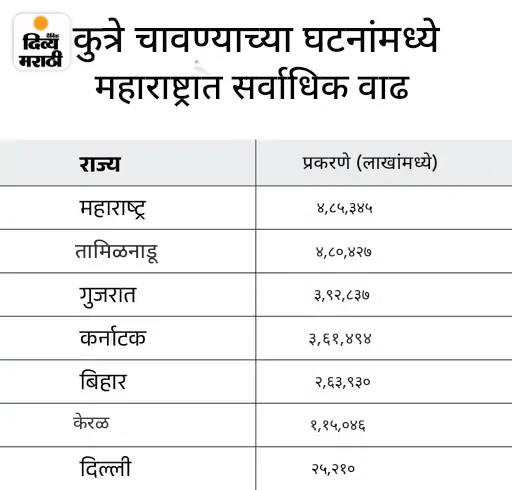 बंगळुरू विद्यापीठात कुत्र्यांच्या हल्ल्यात 2 विद्यार्थिनी जखमी: एक गंभीर, आयसीयूमध्ये दाखल; SC आदेशाच्या एक दिवसानंतर घडली घटना