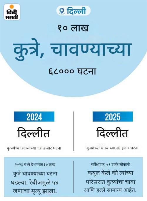 बंगळुरू विद्यापीठात कुत्र्यांच्या हल्ल्यात 2 विद्यार्थिनी जखमी: एक गंभीर, आयसीयूमध्ये दाखल; SC आदेशाच्या एक दिवसानंतर घडली घटना