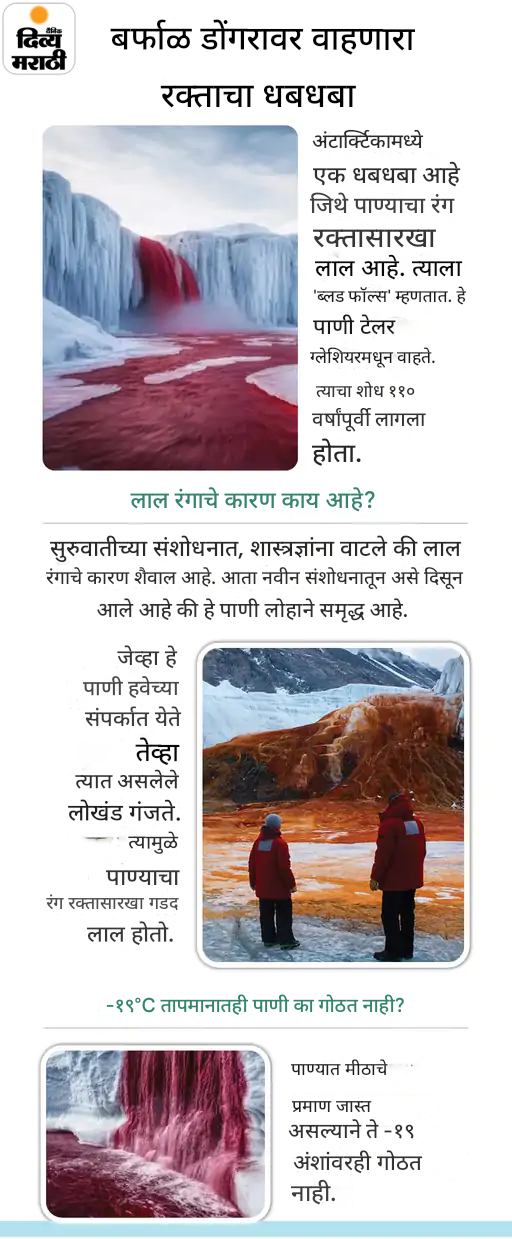 PM मोदींचा चॉकलेटचा पुतळा: माकडाच्या मृत्यूनंतर गावकऱ्यांनी केले मुंडण; ग्राफिक्समध्ये पाहा 5 मनोरंजक बातम्या PM मोदींचा चॉकलेटचा पुतळा: माकडाच्या मृत्यूनंतर गावकऱ्यांनी केले मुंडण; ग्राफिक्समध्ये पाहा 5 मनोरंजक बातम्या