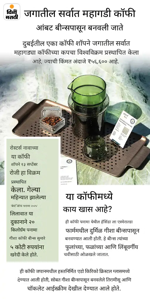 खबर हटके- मांस खातेय खारुताई, उंदिर-पक्ष्यांची केली शिकार: अंटार्क्टिकाहून बर्फाचा डोंगर आणणार UAE; पाहा 5 रंजक बातम्या