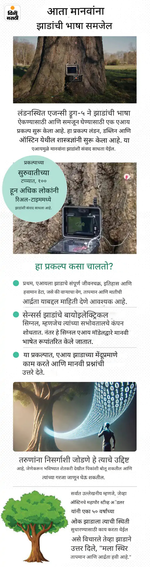 खबर हटके: युरोपातील 100+ लोकांनी साधला झाडांशी संवाद: कबरींवर पेनकिलर आणि चॉकलेट अर्पण करत आहे GenZ; पाहा 5 रंजक बातम्या खबर हटके: युरोपातील 100+ लोकांनी साधला झाडांशी संवाद: कबरींवर पेनकिलर आणि चॉकलेट अर्पण करत आहे GenZ; पाहा 5 रंजक बातम्या