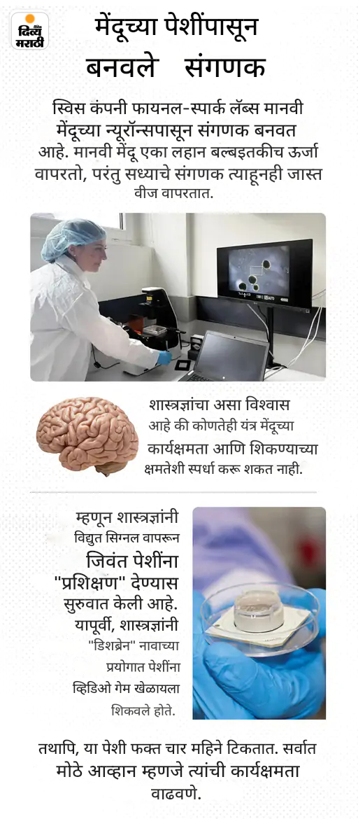 खबर हटके: युरोपातील 100+ लोकांनी साधला झाडांशी संवाद: कबरींवर पेनकिलर आणि चॉकलेट अर्पण करत आहे GenZ; पाहा 5 रंजक बातम्या खबर हटके: युरोपातील 100+ लोकांनी साधला झाडांशी संवाद: कबरींवर पेनकिलर आणि चॉकलेट अर्पण करत आहे GenZ; पाहा 5 रंजक बातम्या