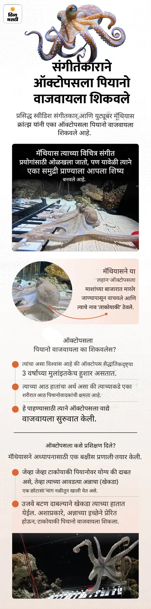 दोन मुलांचे स्वतःचे सैन्य, हुकूमशहा बनण्याचे स्वप्न: एका लहान दगडासाठी ₹4 हजार कोटी खर्च झाले; पाहा 5 मनोरंजक बातम्या