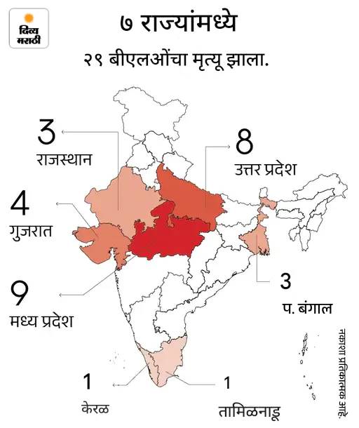 बंगालमध्ये SIR च्या विरोधात BLO चे आंदोलन: यूपीमध्ये सहाय्यक बीएलओचा झोपेतच मृत्यू, देशात आतापर्यंत 29 जणांचा बळी बंगालमध्ये SIR च्या विरोधात BLO चे आंदोलन: यूपीमध्ये सहाय्यक बीएलओचा झोपेतच मृत्यू, देशात आतापर्यंत 29 जणांचा बळी