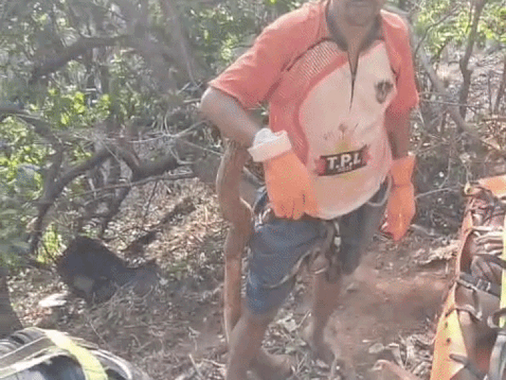 Raigad SUV Accident Kills 8 | Ambenali Ghat Tragedy