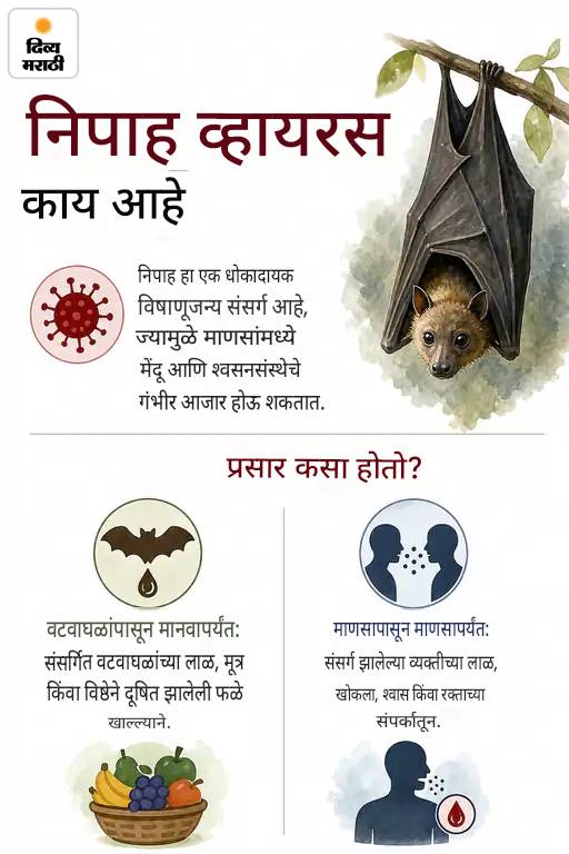 केरळमध्ये या वर्षी निपाह विषाणूचा पहिला रुग्ण व्हेंटिलेटरवर: हॉस्पिटल कर्मचारी क्वारंटाईन; राज्यात हाय अलर्ट, 8 वर्षांत सहाव्यांदा संसर्ग