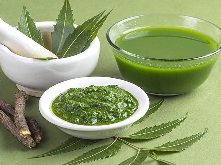 Benefits and Uses of Neem Leaves | બહુ જ ફાયદાકારી છે કડવા લીમડાના પાન, વજન ઉતારવાથી લઈ કેન્સર અને ડાયાબિટીસની છે કારગર દવા, જાણો ઉપયોગ રીત - Divya Bhaskar