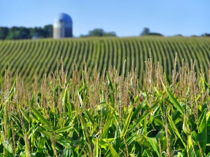 Demand for arrangement of sale of cereals, pulses, oilseeds, spice