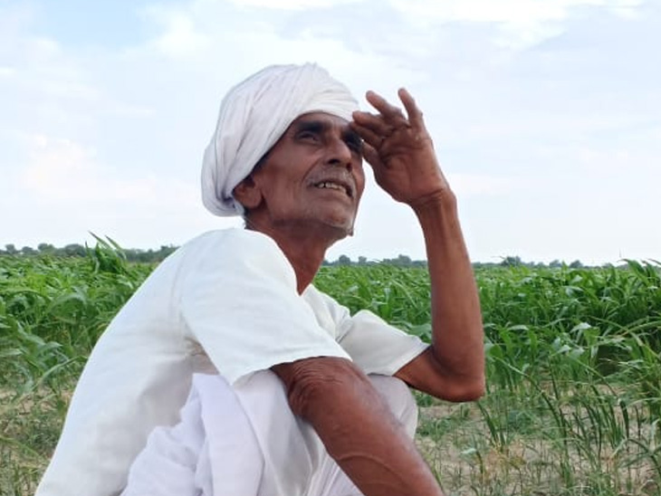 Two pictures of Wadhiyar diocese, one weeding for fear of rain, the other  waiting for rain | વરસાદની વાટ: વઢીયાર પંથકની બે તસવીર, એકમાં વરસાદ ના ડરથી  નિંદામણ, બીજા માં વરસાદની ...