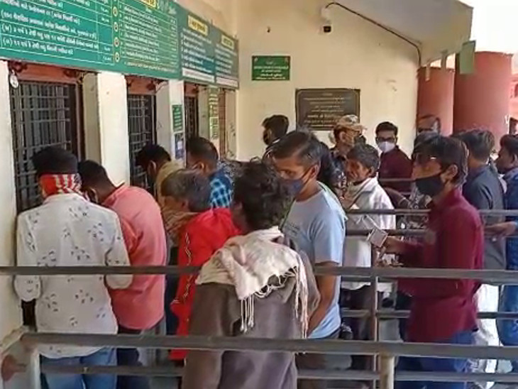 જુનાગઢ સક્કરબાગ ઝૂમાં પ્રવાસીઓની ભીડ જામી
