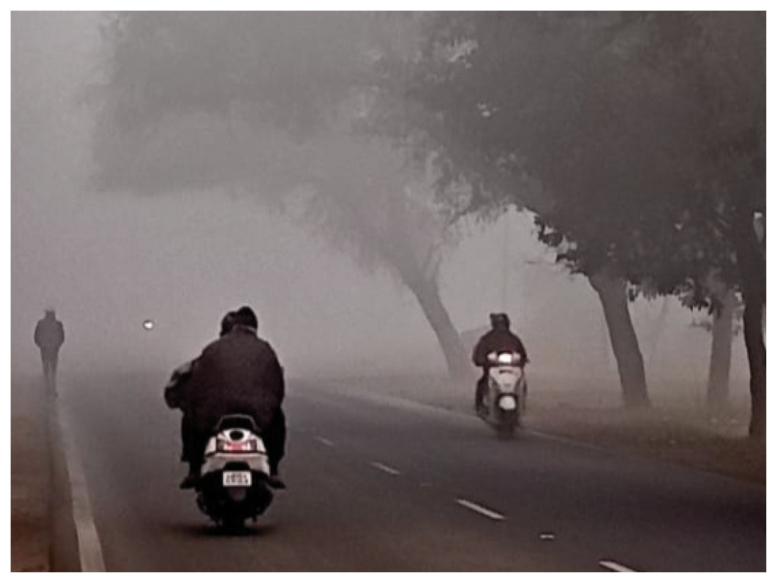 કપૂરથલામાં સવારે મોડી રાત સુધી ધુમ્મસ છવાયો