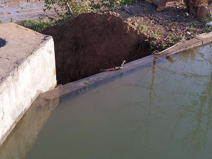 Sankheda Minor Canal near Bhuryakuva overflows for second time in a week
