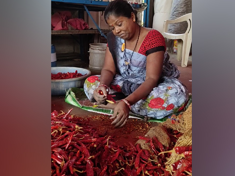 Gondalia and Kashmiri chillies have gone up by Rs 100 to Rs 150 per kg this year over last year.