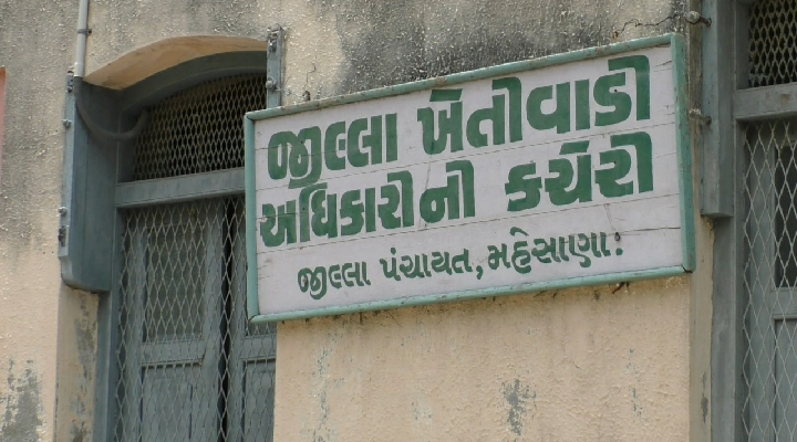A survey will be conducted on the damage caused to agriculture due to rains  in Mehsana district | સર્વે કામગીરી શરૂ: મહેસાણા જિલ્લામાં થયેલા વરસાદના  કારણે ખેતીમાં થયેલા નુકસાન અંગે ...