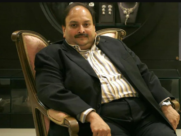 Caribbean politics heats up over arrest of Indian businessman Mehul Choksi, tensions between government and opposition | ભારતના ભાગેડુ કારોબારી મેહુલ ચોકસીની ધરપકડ મુદ્દે ગરમાયું કેરેબિયન દેશોનું રાજકારણ, સરકાર-વિપક્ષ વચ્ચે ખેંચતાણ - Vimarsana News