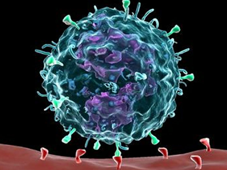 Cytomegalovirus virus also became dangerous for Kovid-19 patients after fungal infection; Know what is cytomegalovirus? | ફંગલ ઈન્ફેક્શન પછી હવે સાઈટોમેગલો વાયરસ પણ બન્યો કોવિડ-19 દર્દીઓ માટે જોખમી; જાણો શું છે સાઈટોમેગલો વાયરસ? - Vimarsana News