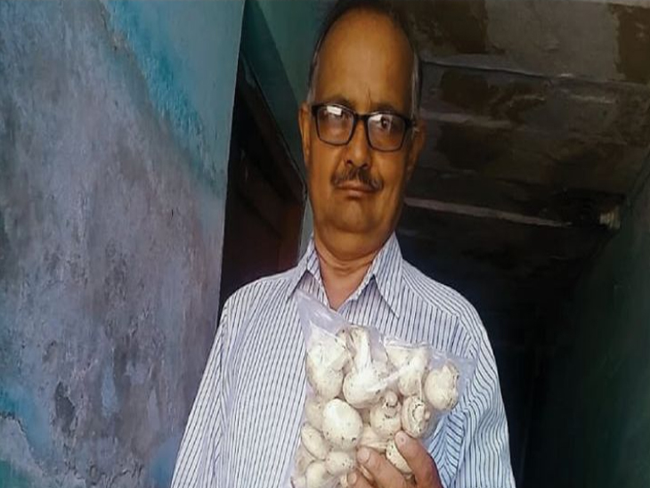 He used to drive an auto in Mumbai, sometimes paying Rs 5,000 for training. Were not; Today mushroom farming is doing 3 lakh business per month | મુંબઈમાં ઓટો ચલાવતા હતા, ક્યારેક ટ્રેનિંગ માટે 5 હજાર રૂ. પણ નહોતા; આજે મશરૂમની ખેતીથી દર મહિને 3 લાખનો બિઝનેસ કરી રહ્યા છે - Vimarsana News