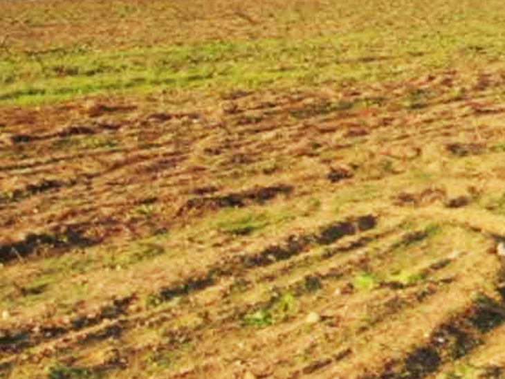 3.10 crore sq.m. in Kutch in 2019-20. Land uncultivated | કચ્છમાં 2019-20માં 3.10 કરોડ ચો.મી. જમીન બિનખેતી - Vimarsana News