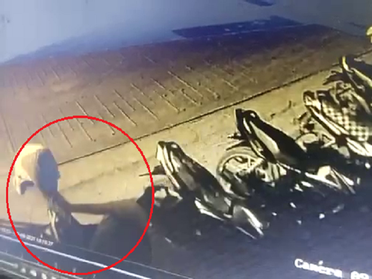 Ahmedabad, just outside the factory gate Two persons lootS 12.92 lakh bags | અમદાવાદના બાપુનગરમાં ભંગારના કારખાનાના ગેટ બહારથી 5 સેકન્ડમાં રૂ. 12.92 લાખ ભરેલી બેગની લૂંટ કરી બે શખ્સ ફરાર - Vimarsana News