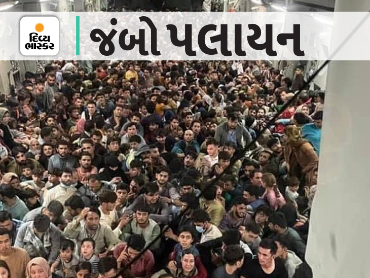 Taliban Captures Afghanistan| Afghani People Fleeing Away From Kabul| Photo Story | તાલિબાનનો ડર ચહેરા પર હતો, પ્લેનમાં જેને જ્યાં જગ્યા મળી ત્યાં બેઠા; અમેરિકન સૈન્ય વિમાને 640 લોકોને કતાર પહોંચાડ્યા - Vimarsana News