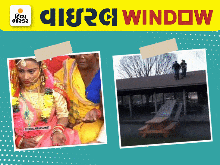 Seeing the bridegroom chewing gutkha, the bridegroom became angry. | વરરાજાને ગુટખા ચાવતાં જોઈ દુલ્હનનો પિત્તો ગયો, મંડપમાં જ સરભરા કરી, મહેમાનો ડઘાઈ ગયા - Vimarsana News