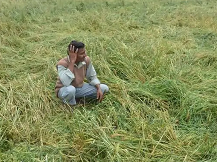 તસવીર પ્રતીકાત્મક છે.