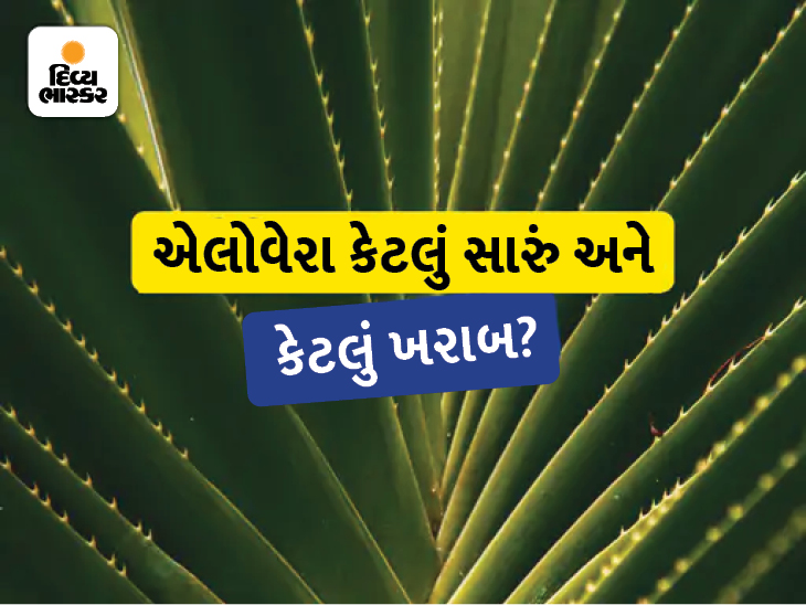 Avoid using haphazard aloe vera, it can lead to diseases like kidney
