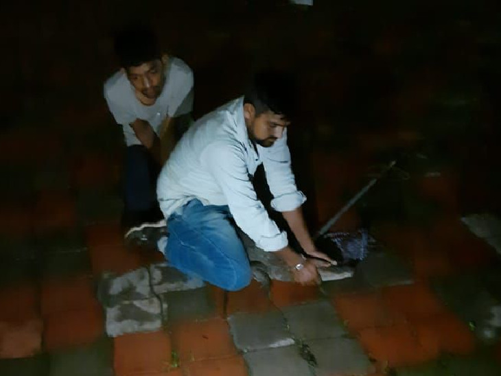 વિશ્વામિત્રી નદીમાંતી મગરો રહેણાંક વિસ્તારમાં આવી રહ્યા છે.