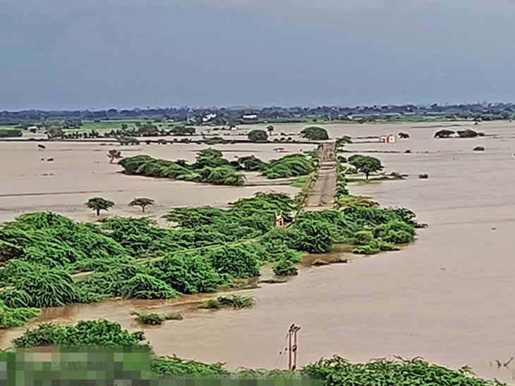 Ghed Panthak flooded, Ozat embankments broke | ગ્રાઉન્ડ રિપોર્ટ: ઘેડ પંથક  પાણીમાં ગરકાવ, ઓઝતના પાળા તૂટ્યાં - Junagadh News | Divya Bhaskar