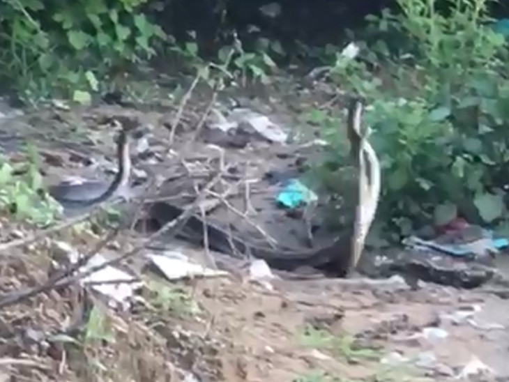 Seeing such a scene for the first time, people got curious.