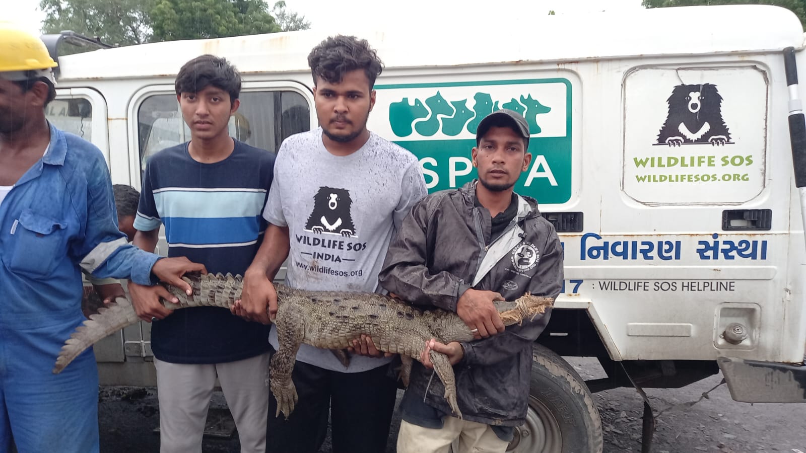 મગરનું રેસ્ક્યૂ કરતી ટીમ.
