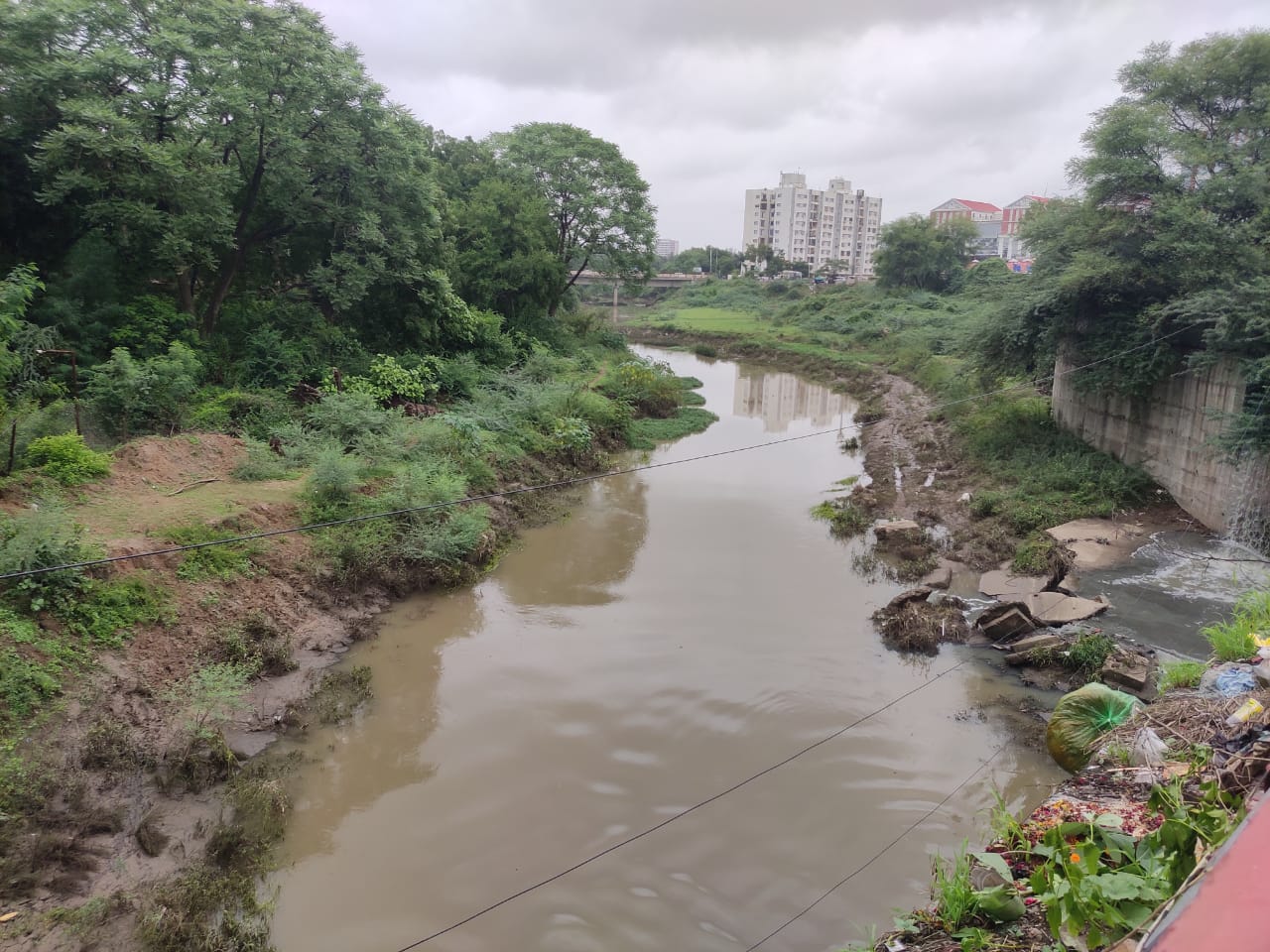 પાણીના પ્રવાહમાં તણાઇ આવતા મગરો.