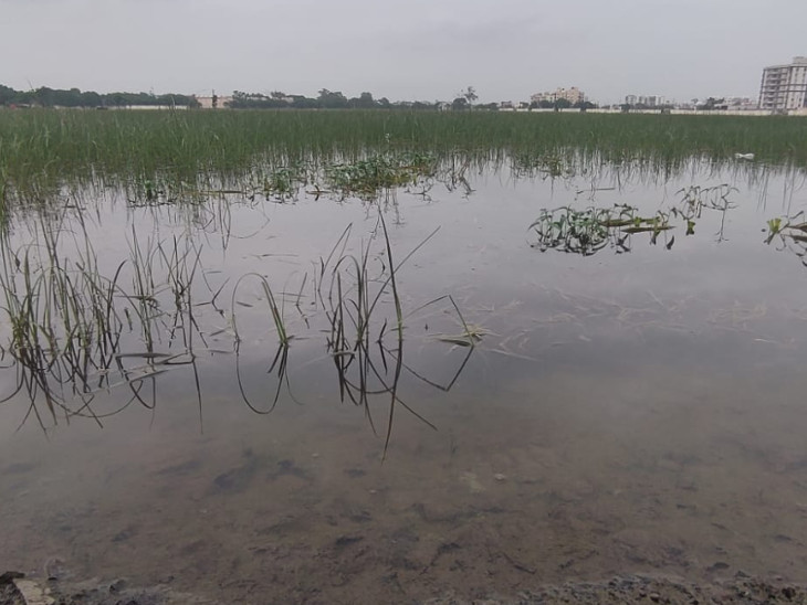 મેદાનમાં ઘણા દિવસથી ભરેલા પાણી હજુ પણ ઉતરતા નથી.
