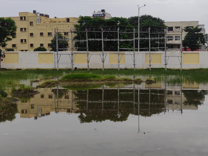 મચ્છરોનો ઉપદ્રવ વધે અને શહેરમાં રોગચાળો વધે તેવી શક્યતાઓ સેવાઇ રહી છે.