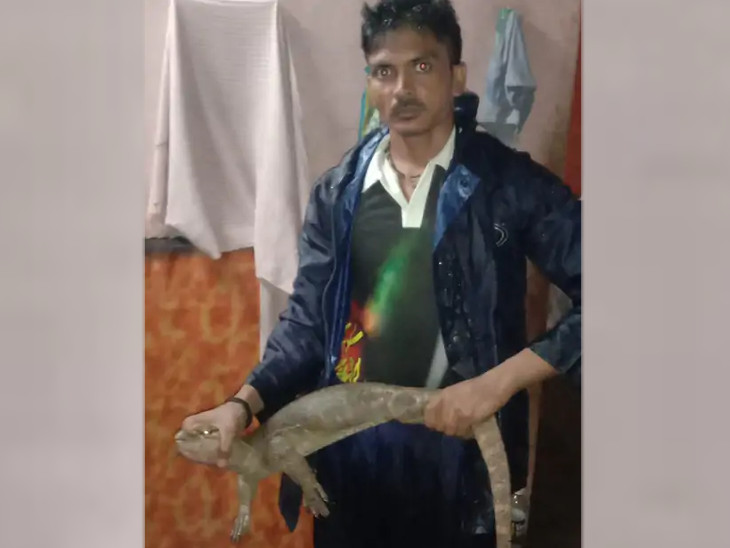 સોસાયટીમાંથી પાટલા ઘો રેસ્ક્યૂ કરવામાં આવી
