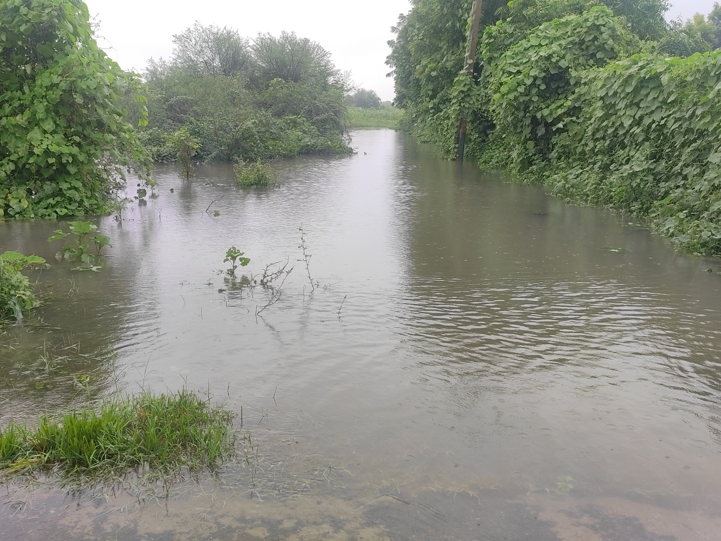 5 inches of rain lashed the city in 24 hours; The school turned into a ...