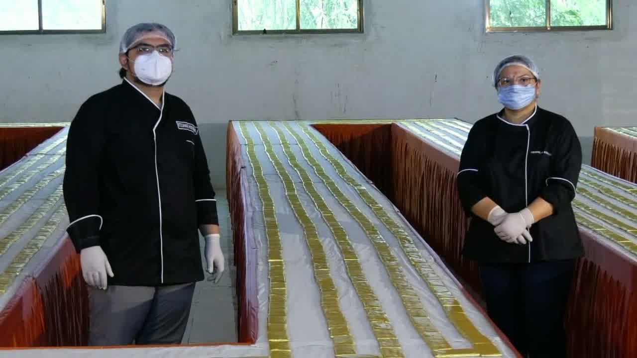 foi-nephew-creates-world-s-longest-chocolate-bar-in-porbandar-achieved