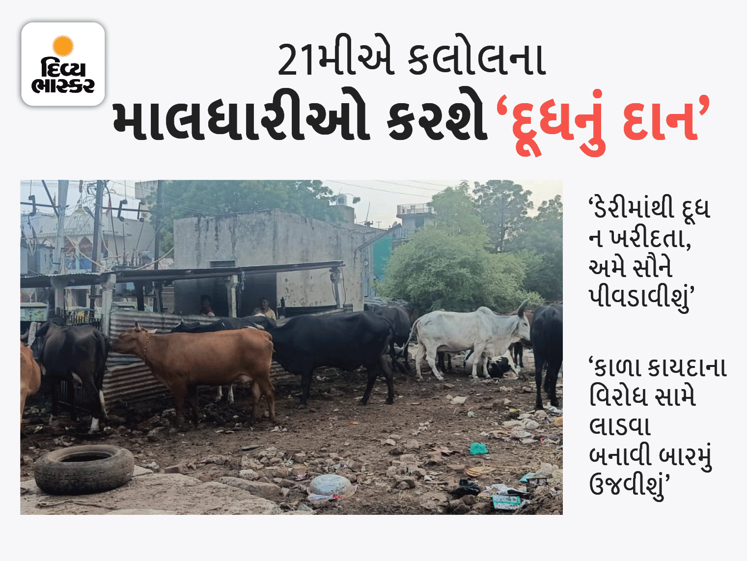 Dairy industry will be hit hard; As much milk as the cattle will give