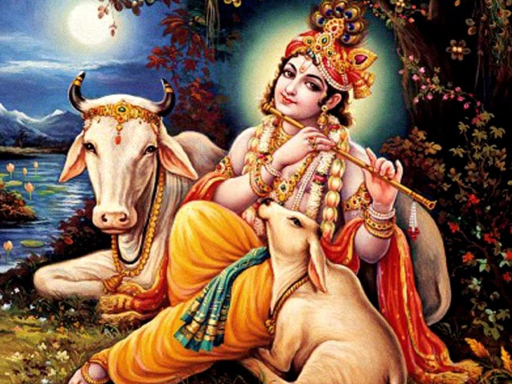 ગોપાષ્ટમીના દિવસે પહેલીવાર ભગવાન શ્રીકૃષ્ણએ ગાયો ચરાવી હતી