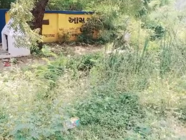 આરોપી સંજય આખી રાત ઝાડીઓમાં સંતાઈ રહ્યો હતો.