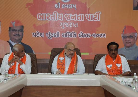 અમિત શાહે ભાજપ સંગઠનને મજબૂત કરવા પ્રયાસ કર્યા