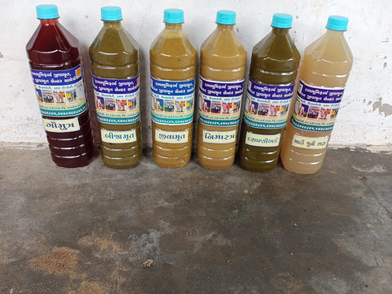 After reaping the benefits of using cow urine in agriculture, now