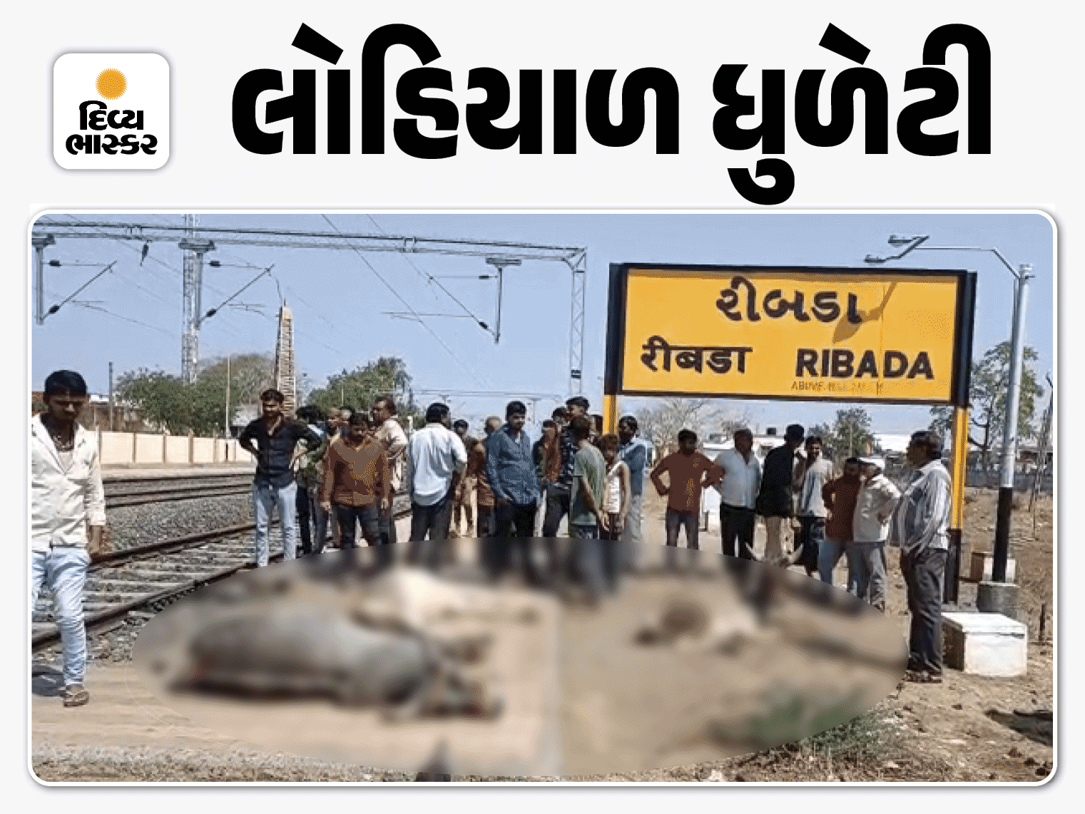 Australia PM's dust in Gujarat, Mount Abu turned into 'Kashmir', see