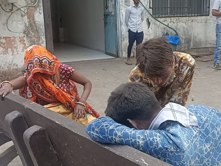 Son of laborer family bitten by pack of dogs in Surat, 25 children died ...