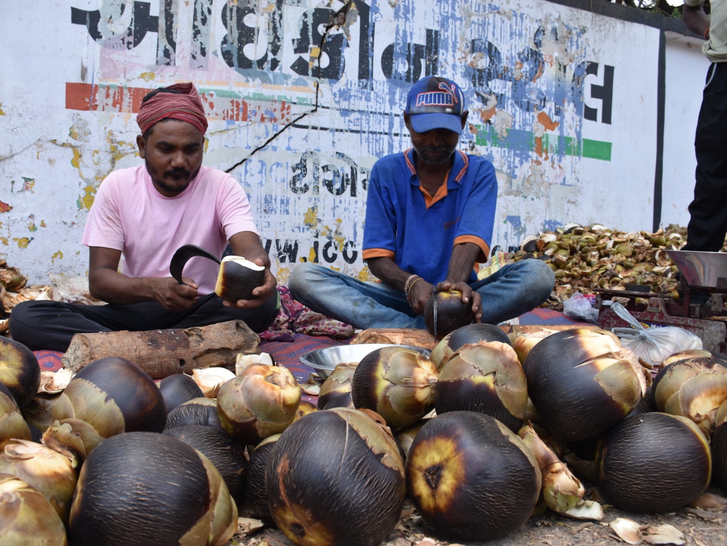 The tribal people of Narmada district earn an income of Rs.1000 per day ...