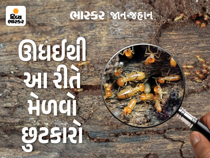 Try bitter gourd juice and neem oil as a regular remedy to get rid of