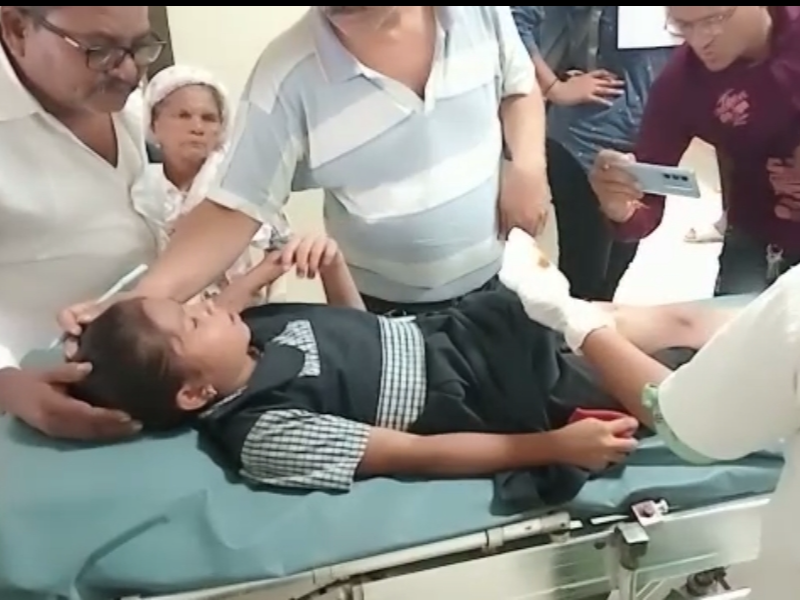 Two girls attacked by 4-5 stray dogs in Limbayat area, shifted to civil ...